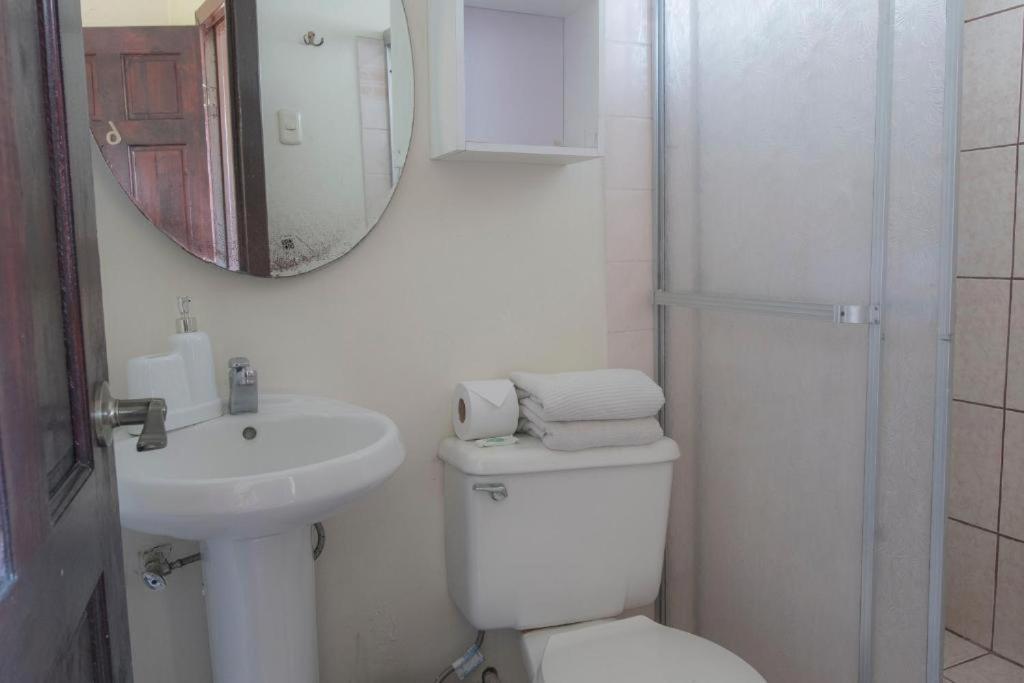 Sura Bed And Breakfast Σαν Χοσέ Εξωτερικό φωτογραφία
